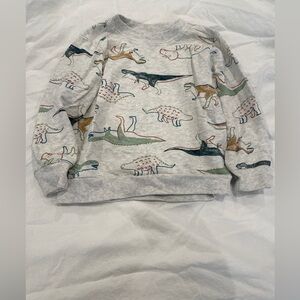 Carter's Little Boys Dinosaur Pullover, 3T